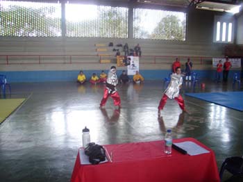 foto11