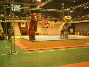 foto04