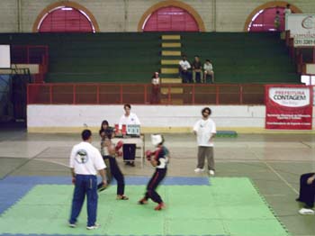 foto12