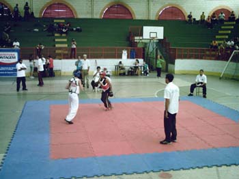 foto15