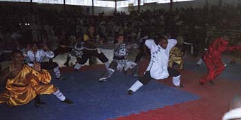 foto15