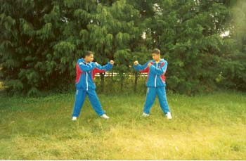 foto14